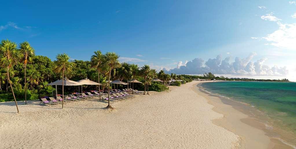 The Reserve Paradisus Playa Del Carmen (Adults Only) Thiên nhiên bức ảnh
